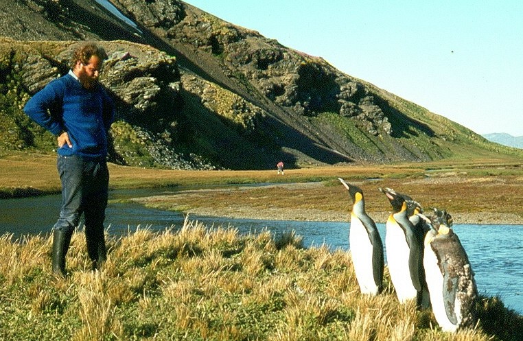 With penguins in Antarctica